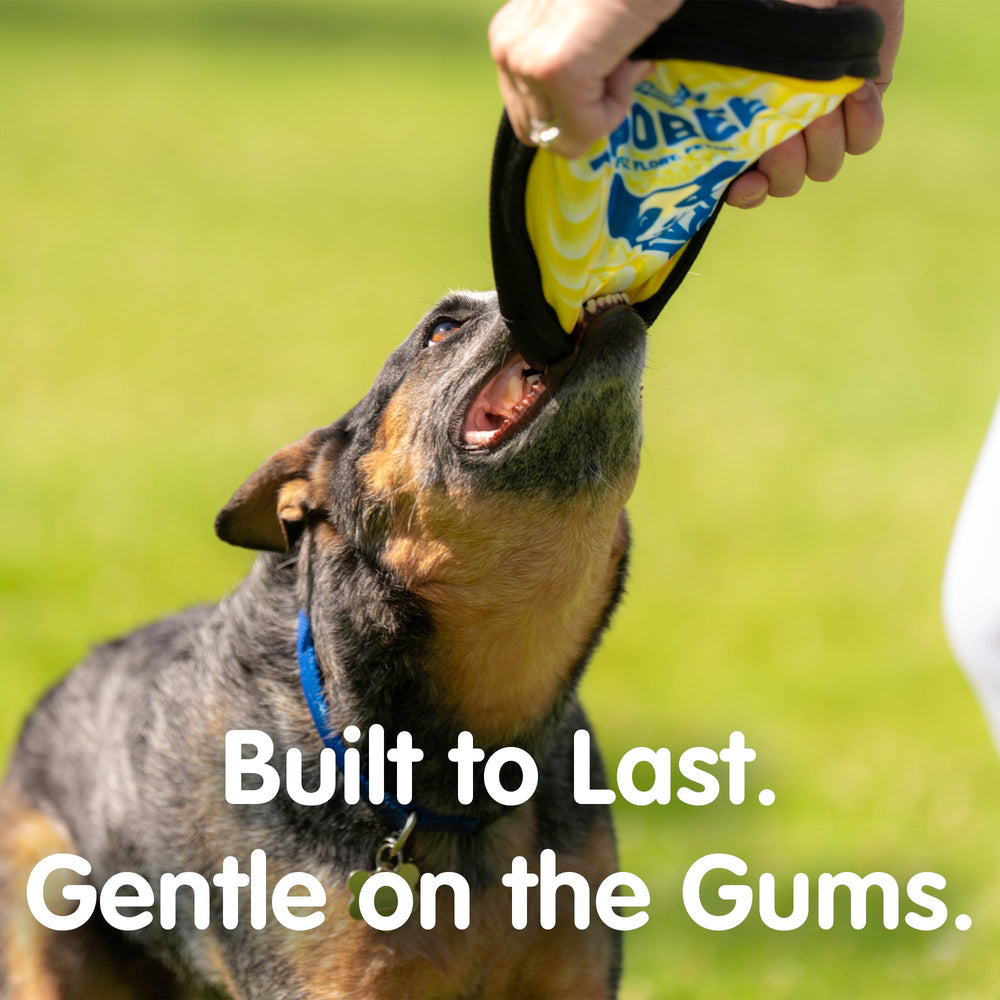 The ZooBee disc uses dog vision friendly colors to aid sight.