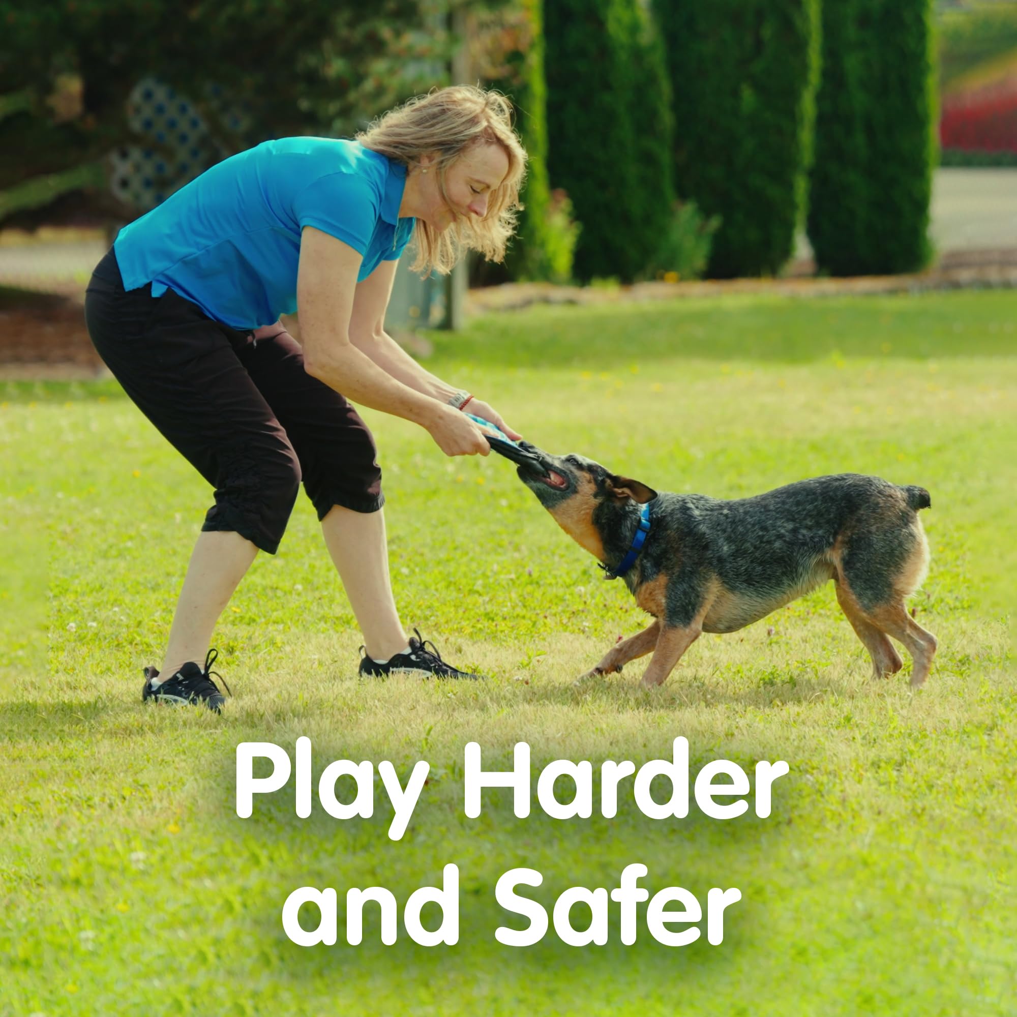 The ZooBee disc is suitable for indoor and outdoor fetch.