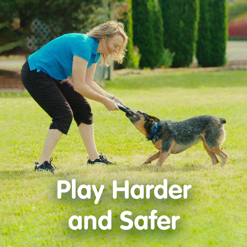 The ZooBee disc is suitable for indoor and outdoor fetch.