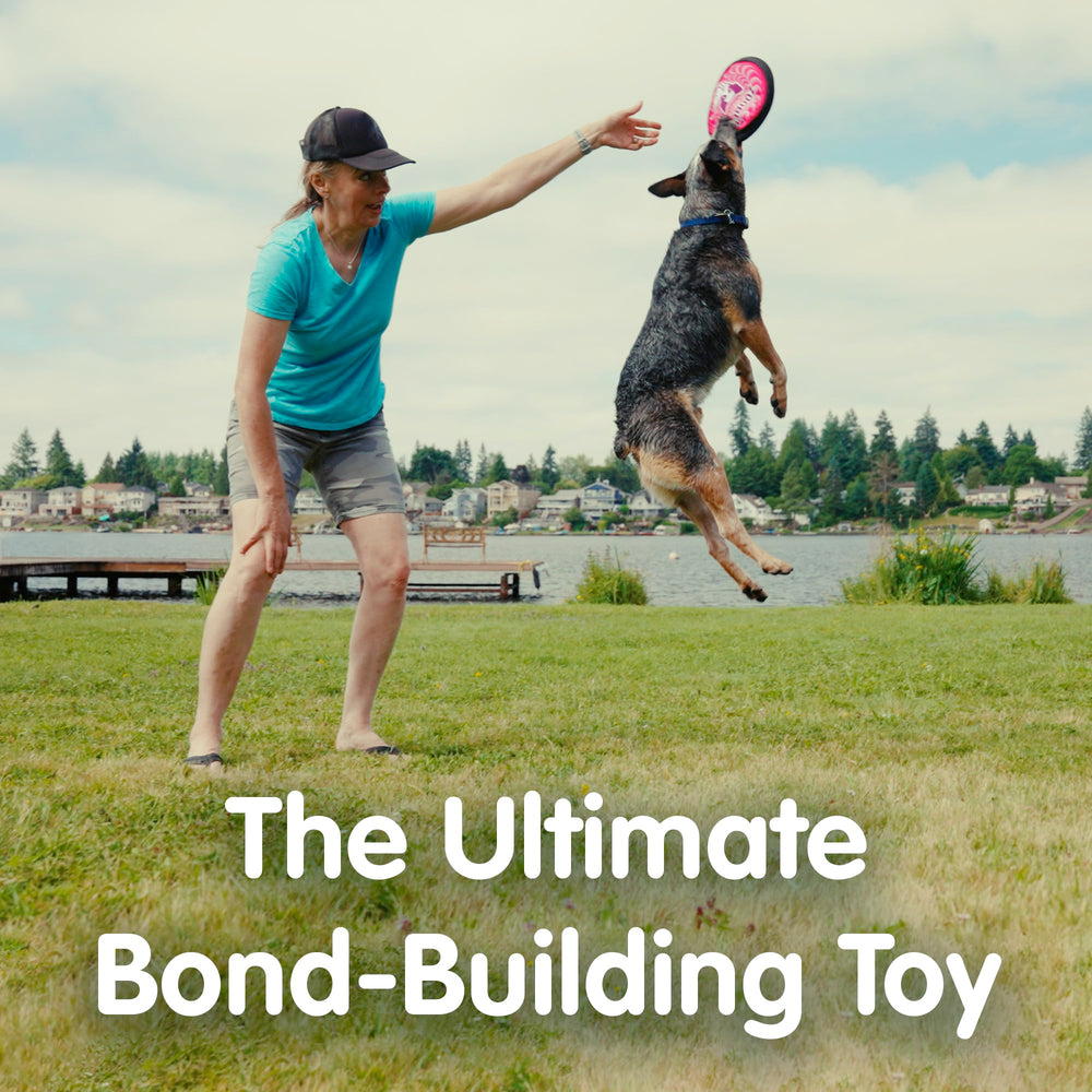 The ZooBee disc is soft yet durable for daily use.
