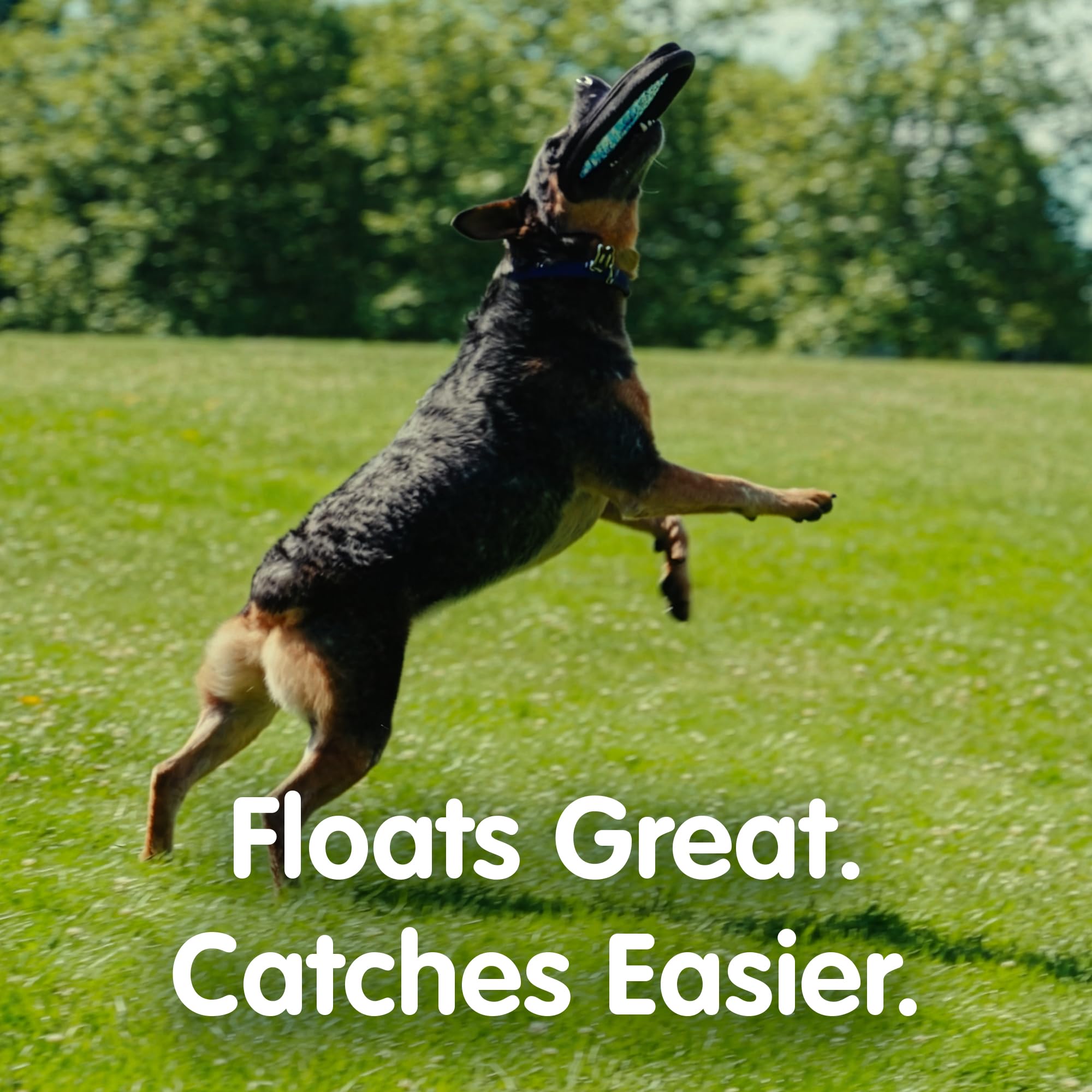 The ZooBee disc features a soft teeth friendly design for daily play.