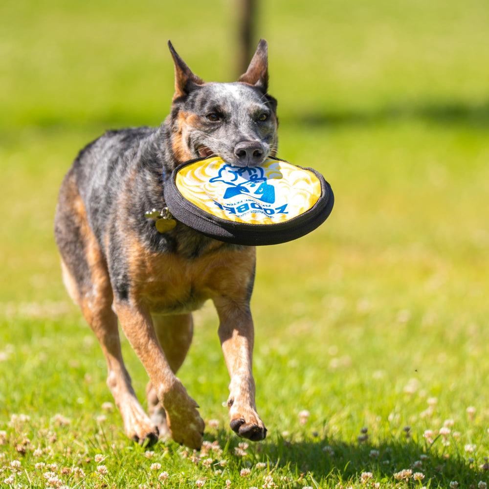 The ZooBee disc floats for sunny summer games.