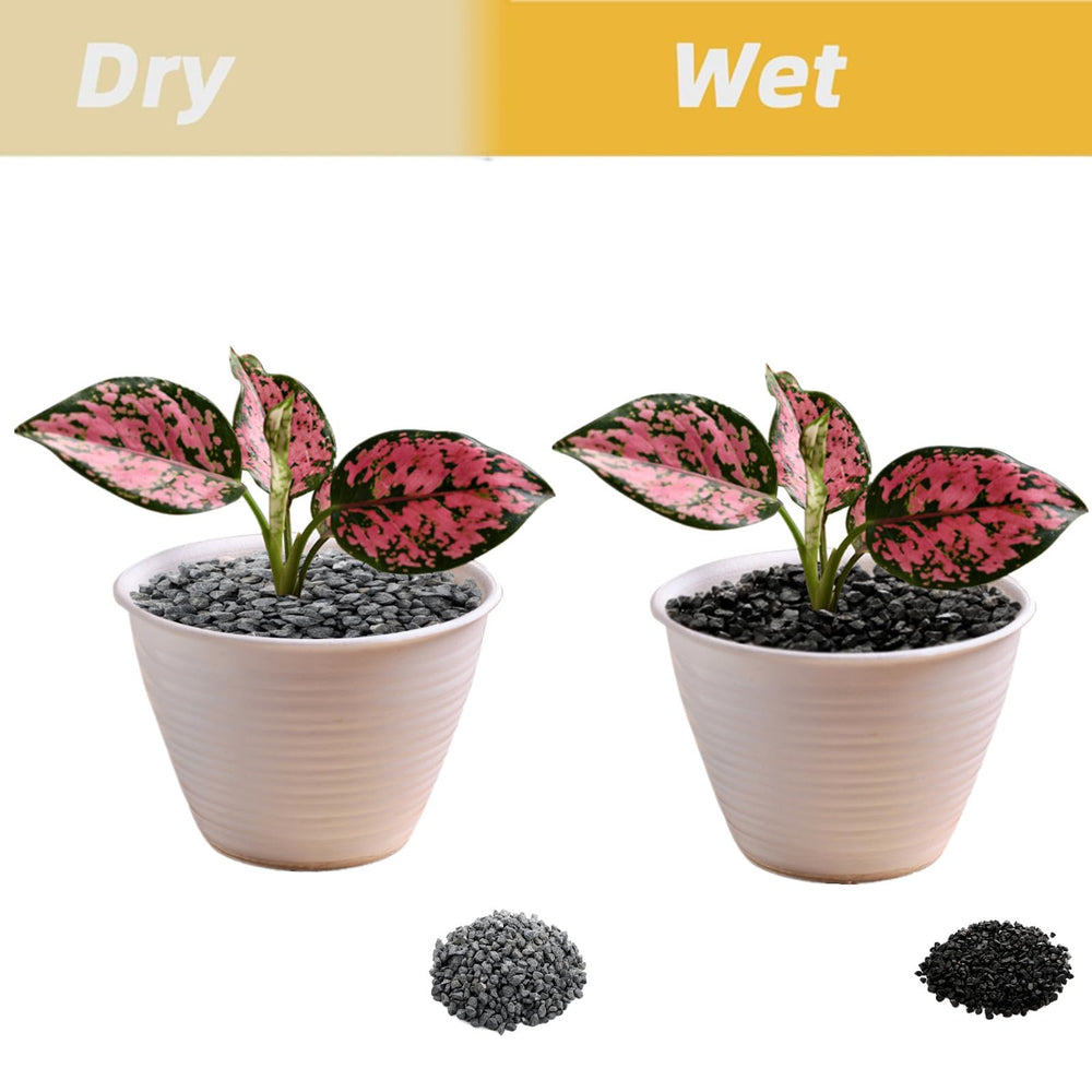 ZOOFOX aquarium gravel adds natural color and safe substrate for fish.