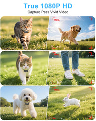 ZoomaraKam cat camera collar worn on pet for hands-free recording