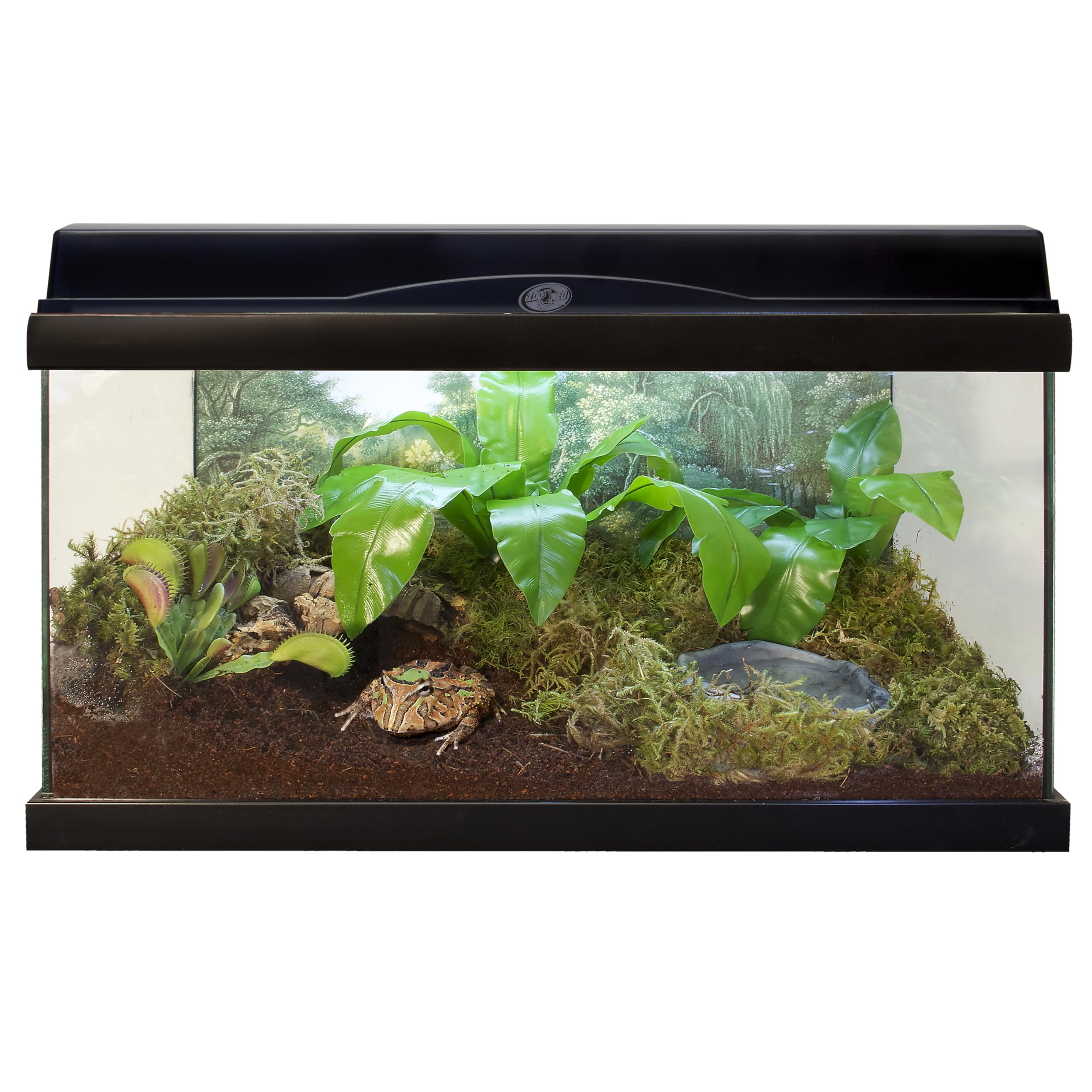 Zoo Med Eco Earth 3-pack ready for bulk terrarium setup