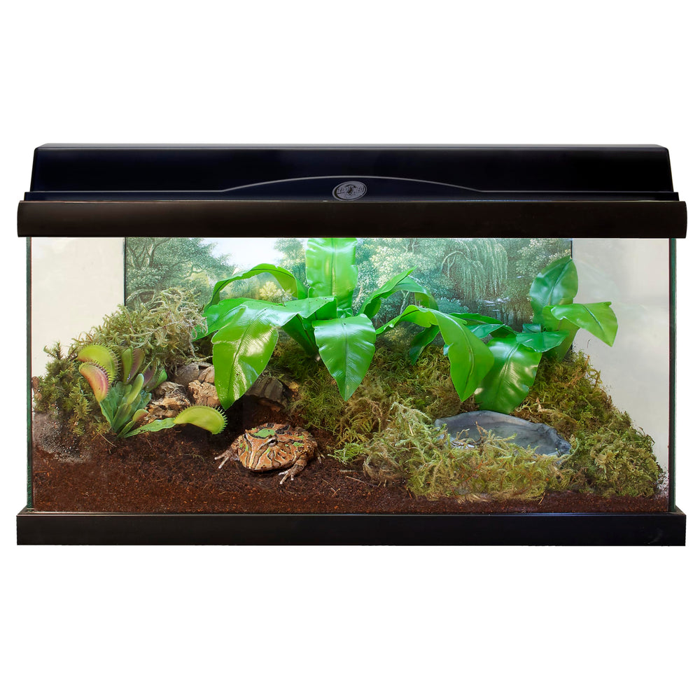 Zoo Med Eco Earth 3-pack ready for bulk terrarium setup