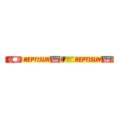 Zoo Med ReptiSun 10.0 HO T5 UVB lamp in terrarium for bright UVB exposure.