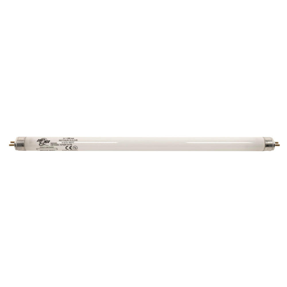 Zoo Med ReptiSun UVB lamp within terrarium setup demonstrates balanced lighting