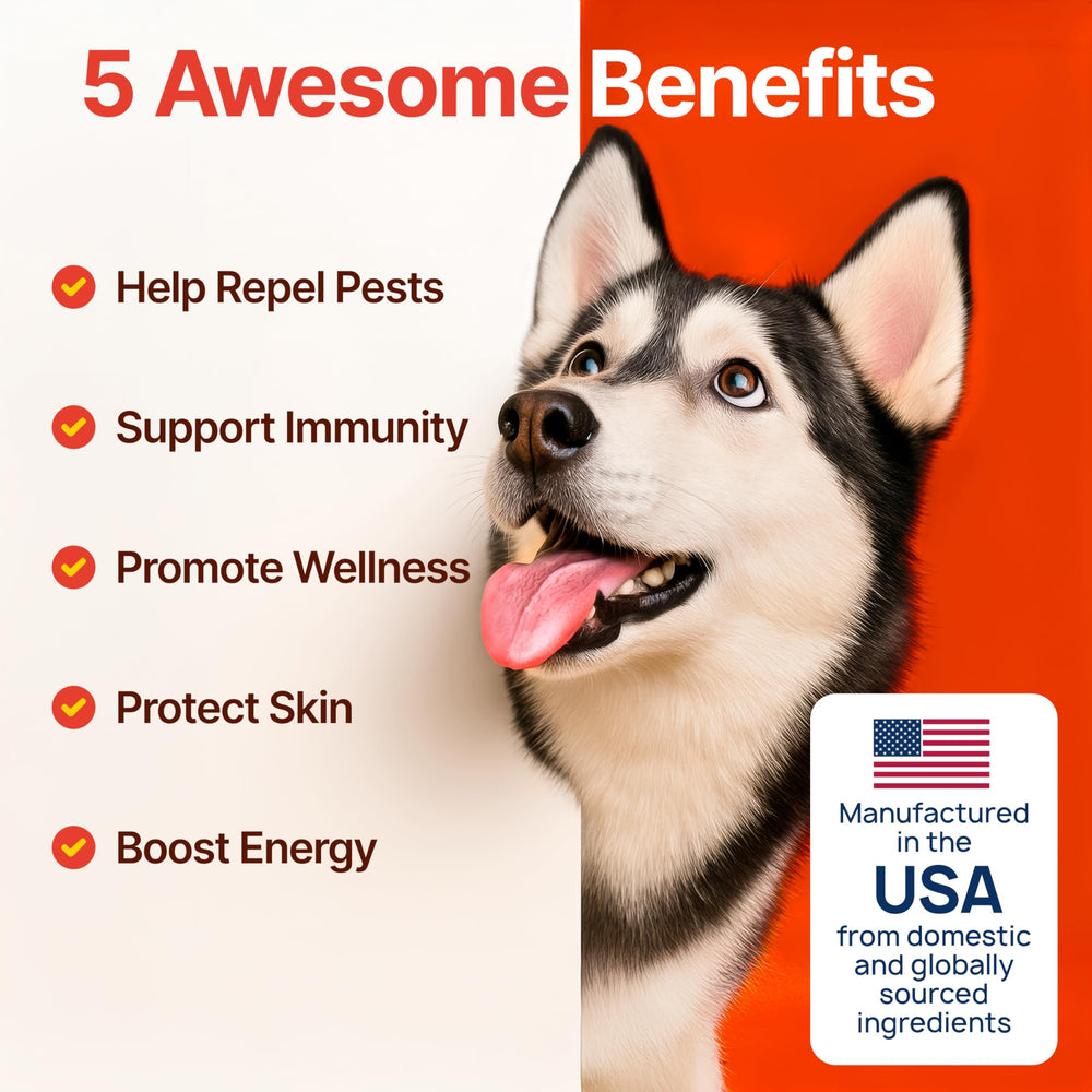 ZOOMEZEN chicken flavor chews—tasty solution dogs readily accept for flea defense.