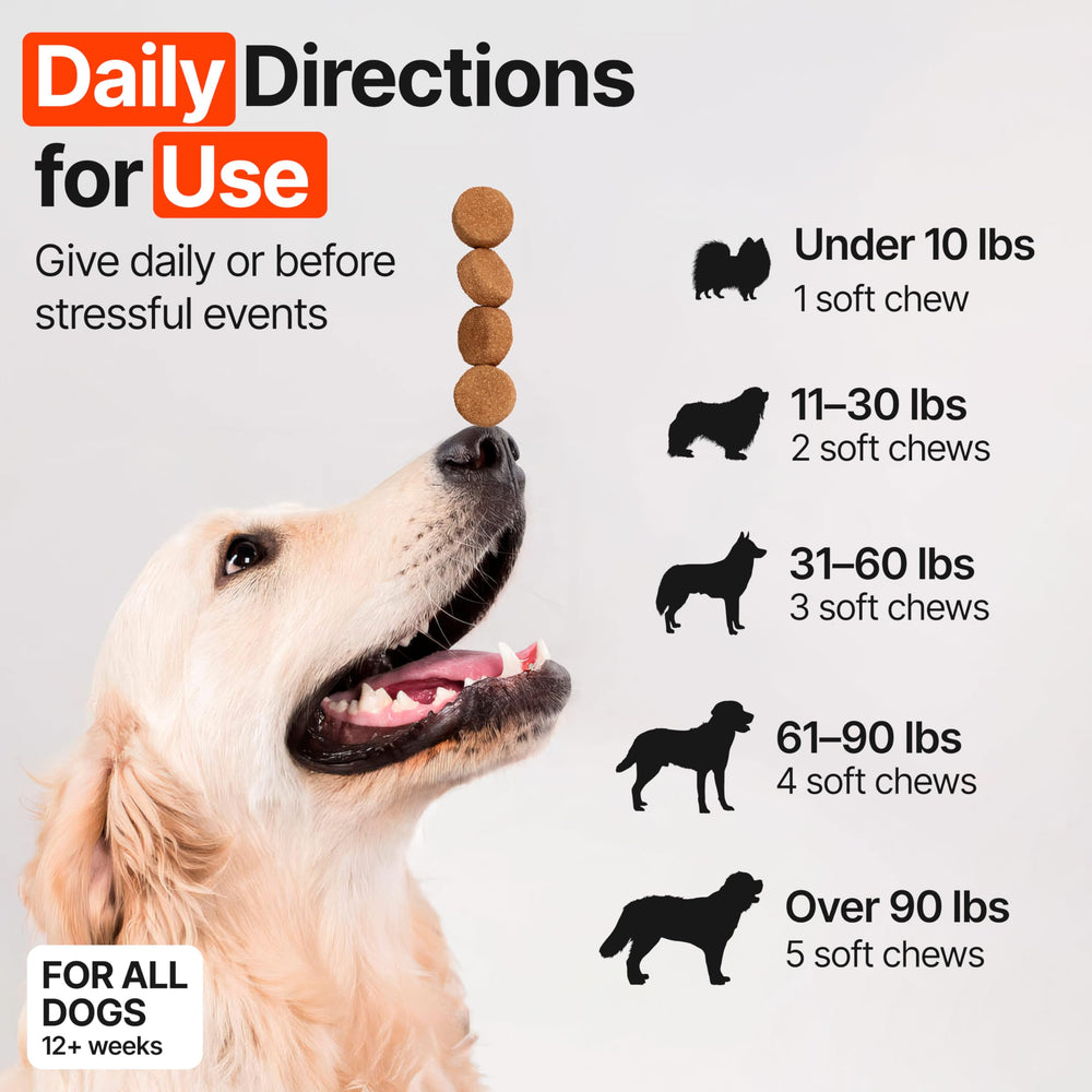 ZOOMEZEN dog allergy chews packaging shows USA-made vet-formulated safety