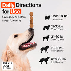 ZOOMEZEN dog allergy chews packaging shows USA-made vet-formulated safety