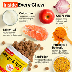 ZOOMEZEN dog allergy chews paw relief closeup