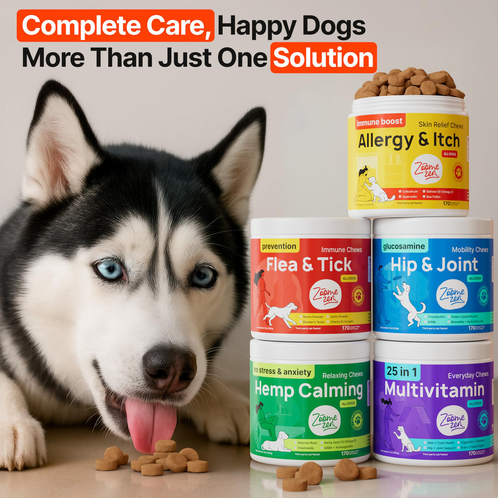 ZOOMEZEN dog allergy chews USA facility badge on label
