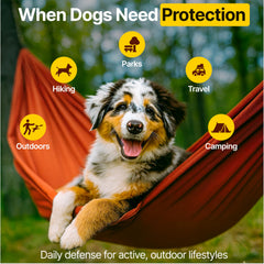 ZOOMEZEN salmon oil and flaxseed chews—omega-rich blend for glossy coat.