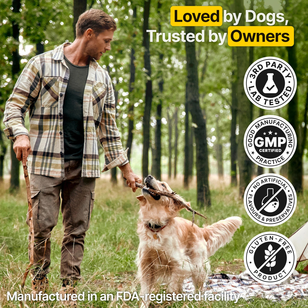 ZOOMEZEN USA-made vet-formulated chews—premium quality, safety, and consistency.