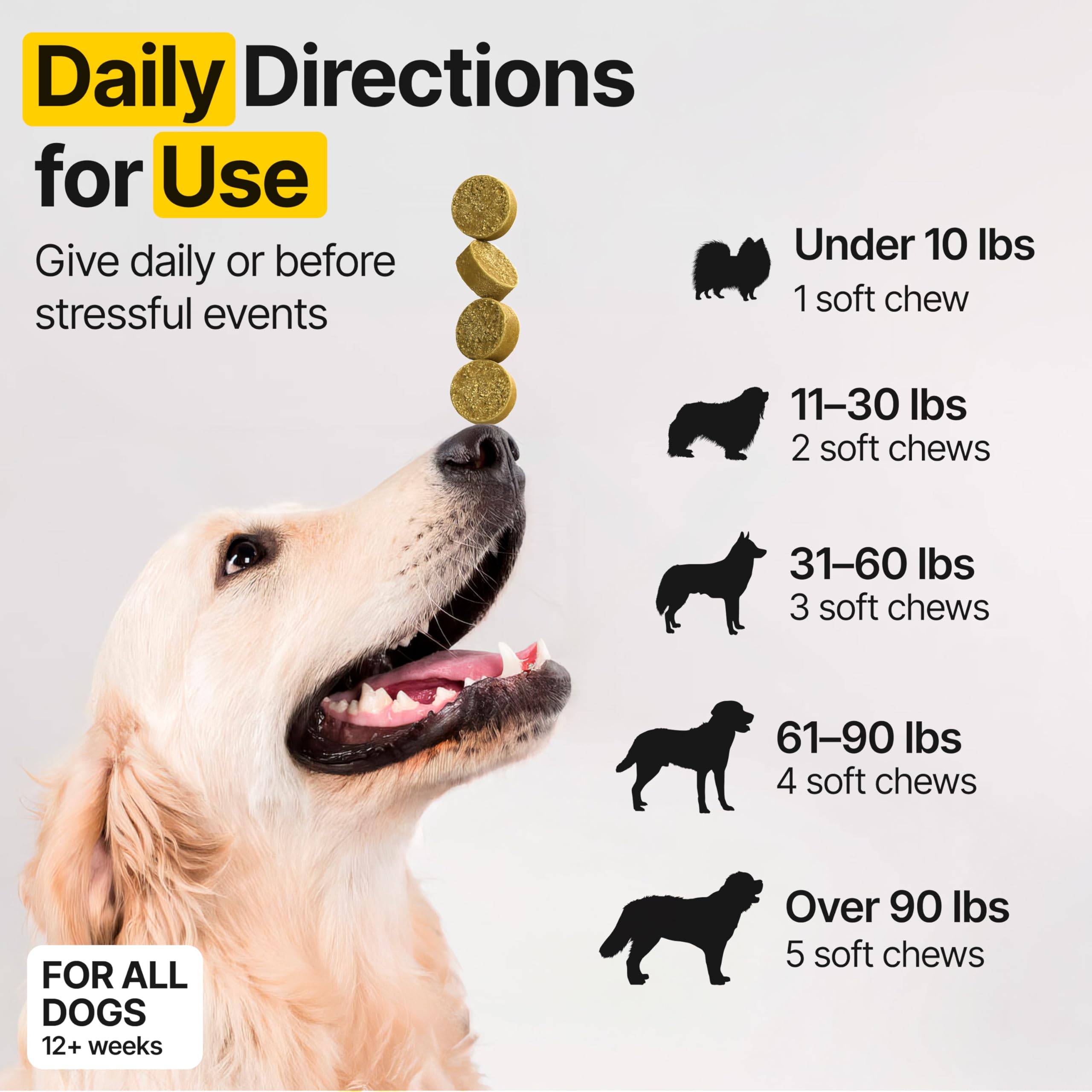 ZOOMEZEN vitamin B complex chews—energy-boosting support for daily vitality.