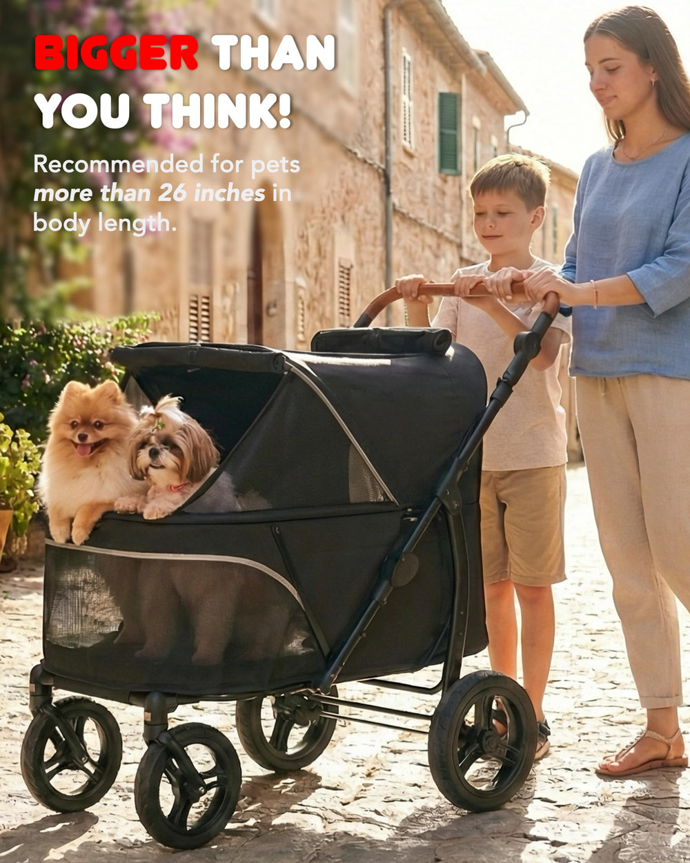 Zoosky reflective strips boost visibility during low light outings.