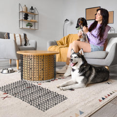 Zopeal cat repellent mat with U-shaped pegs and ties for stable outdoor setup.