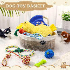 Zopeal rope toy set in medium size for moderate chewing sessions.