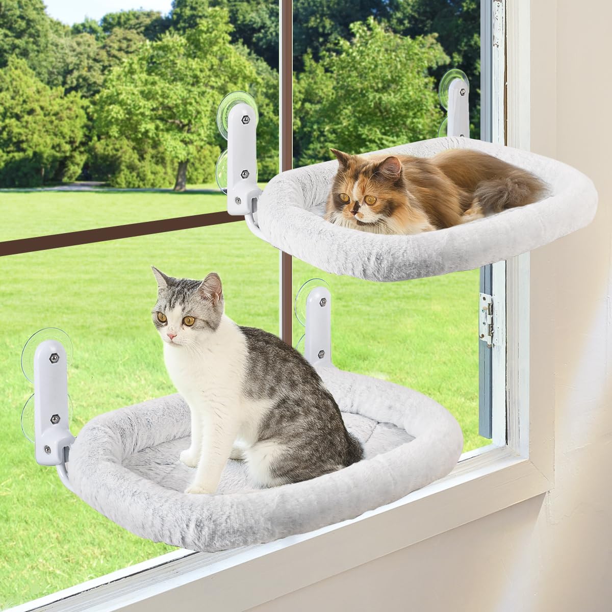 Zoratoo 2PC cat window perch with cordless frame for multi-cat viewing