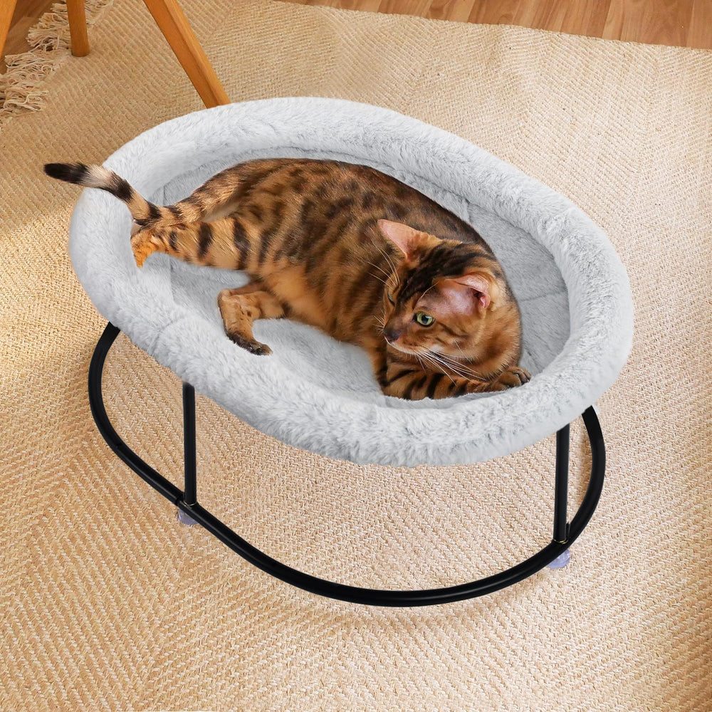 Zoratoo cat and small dog relaxing on an elevated hammock