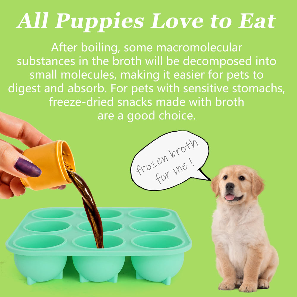 Zorazio frozen dog treats in mold ready for freezing and storage