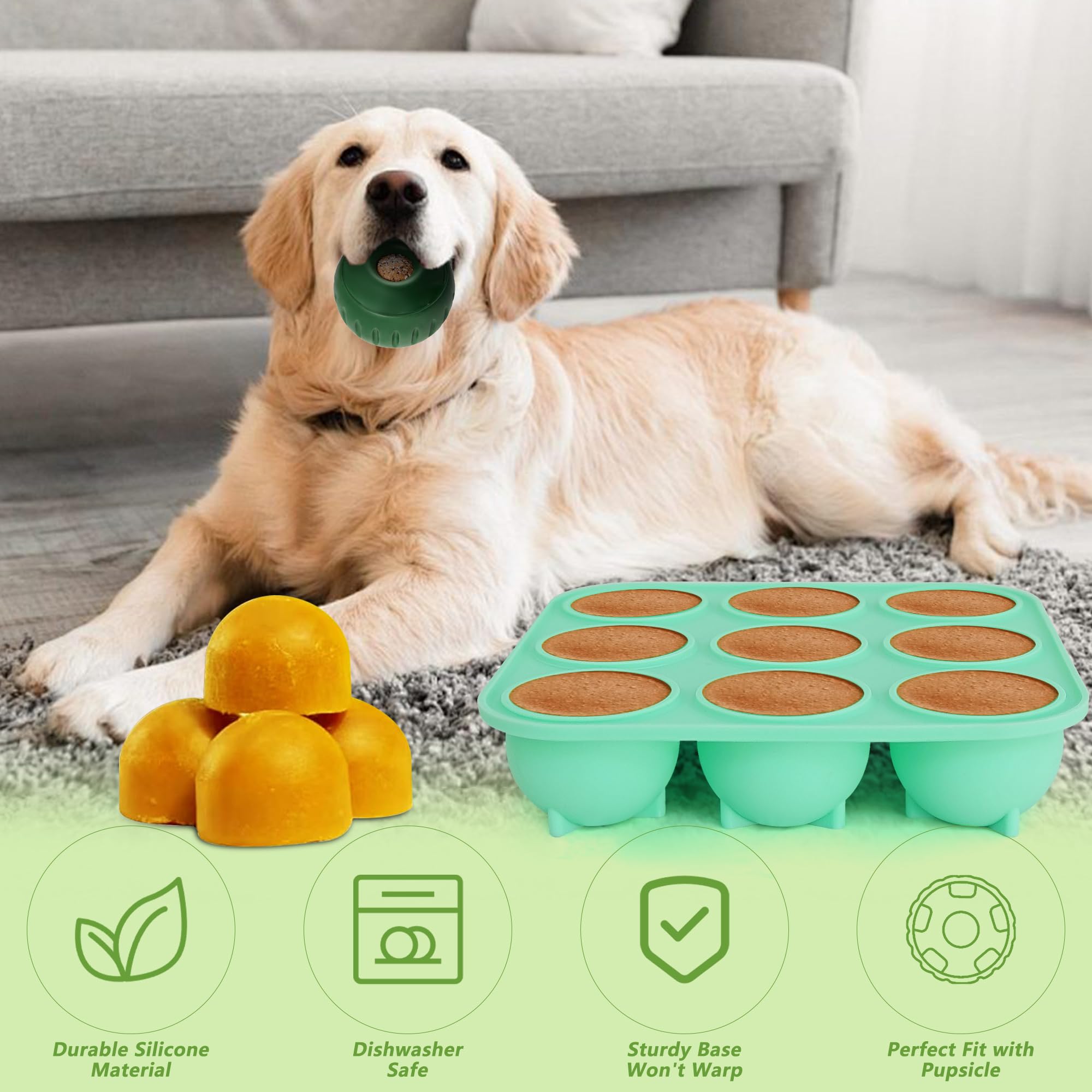 Zorazio lid keeps treats fresh for later storage.
