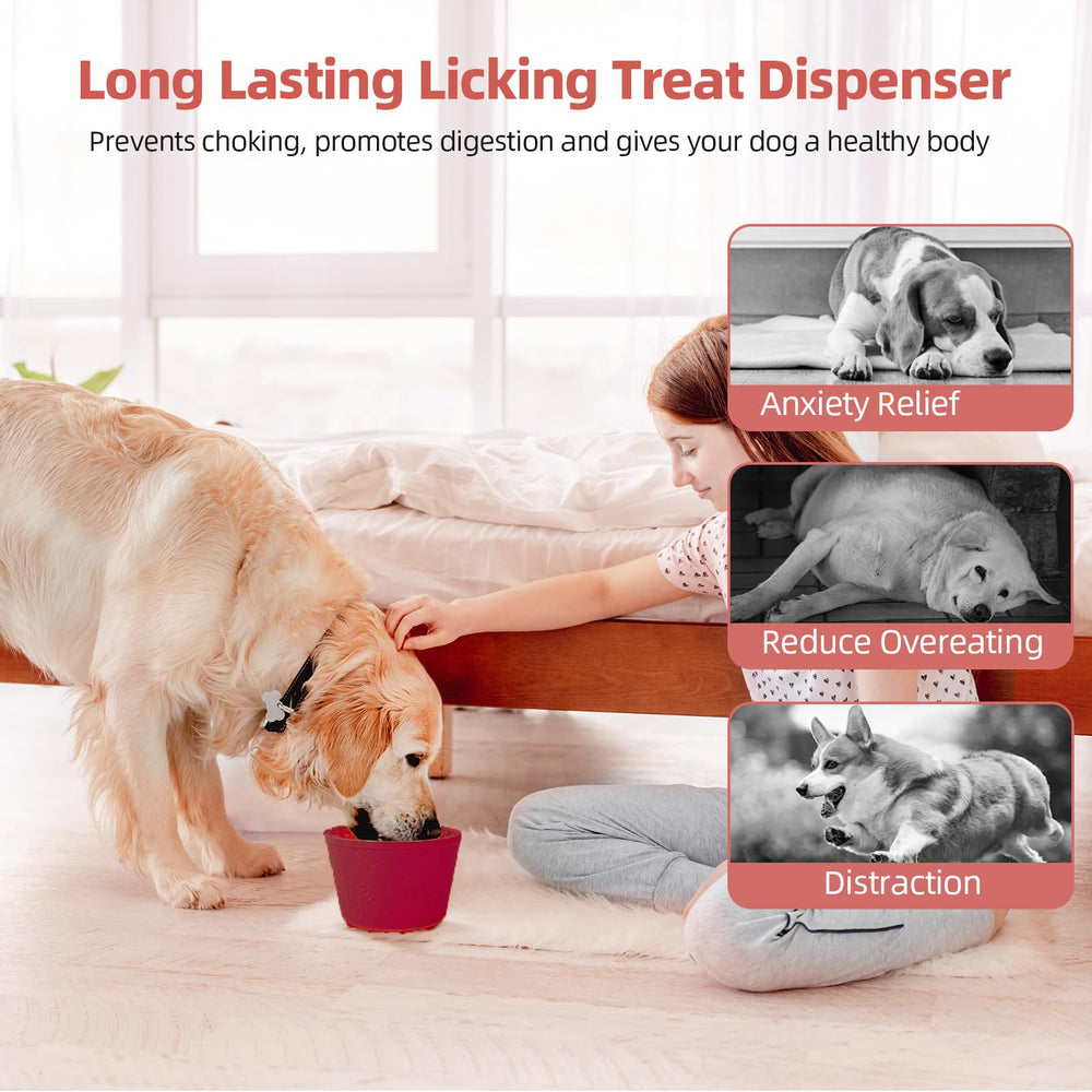 ZOURYNUA compact bowl dimensions fit snugly in most feeding areas.