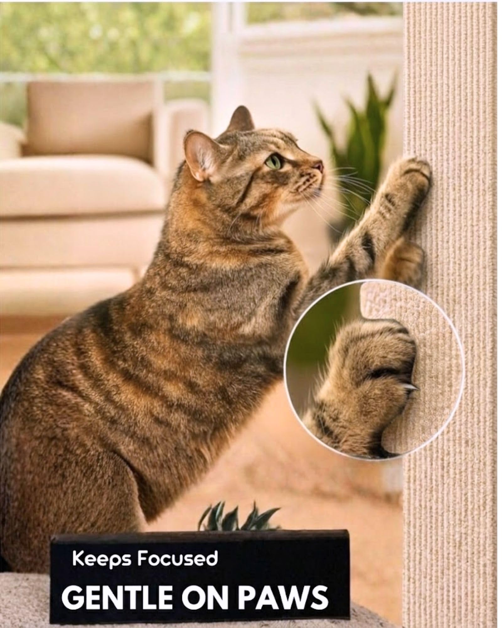 ZOVRION beige corner-wall scratch mat with self-adhesive back for secure mounting.