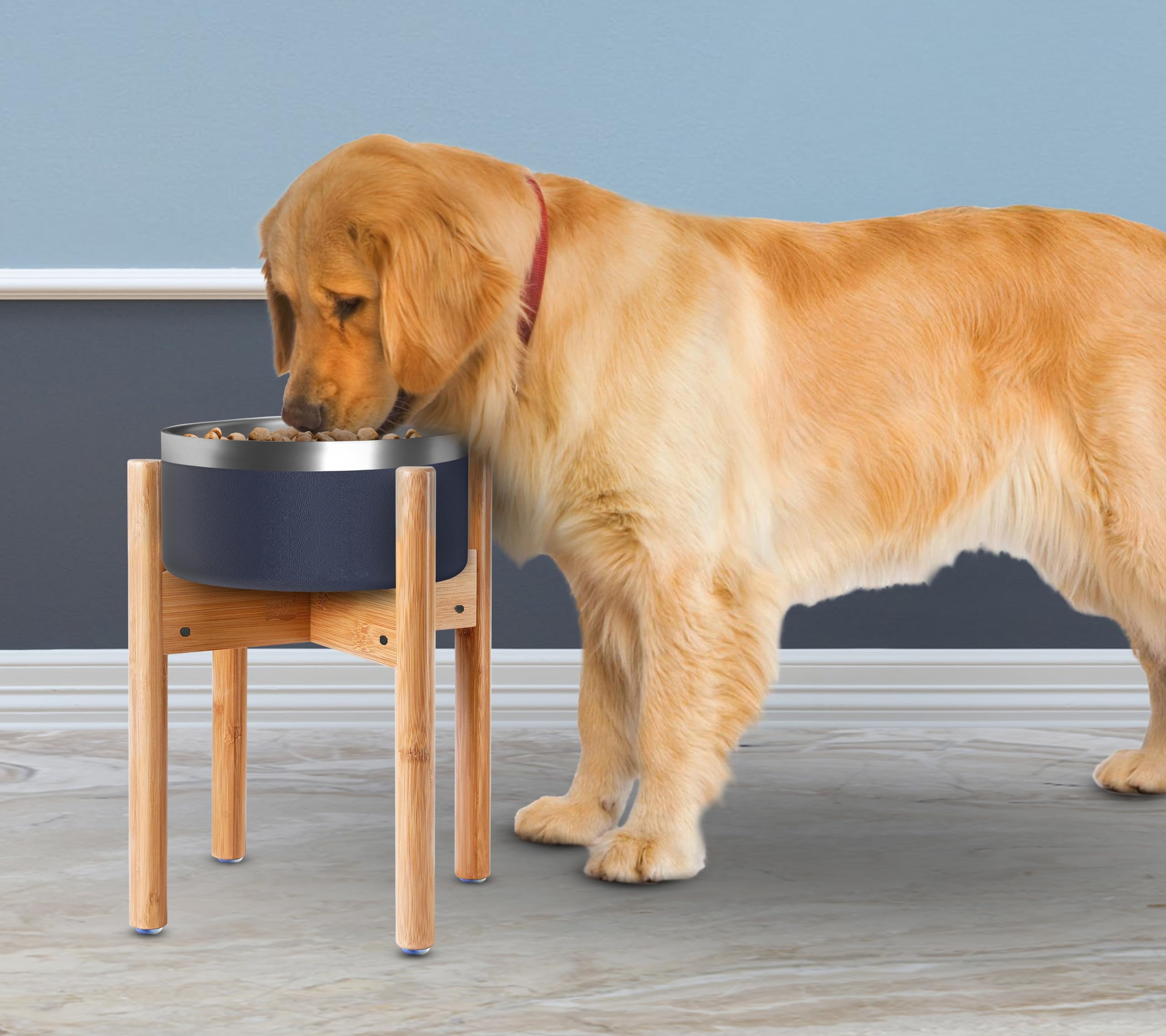ZPirates stand fits ceramic, stainless steel, and plastic bowls.