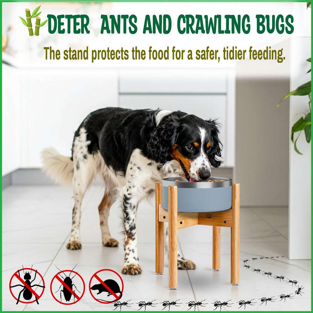 ZPirates stand is easy to care for with simple maintenance.