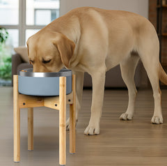 ZPirates elevated stand deters ground pests while keeping meals tidy.