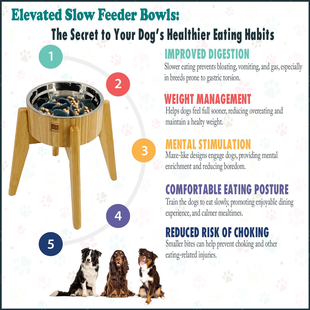 ZPirates large-capacity 64-ounce bowl suited for big dogs during longer meals
