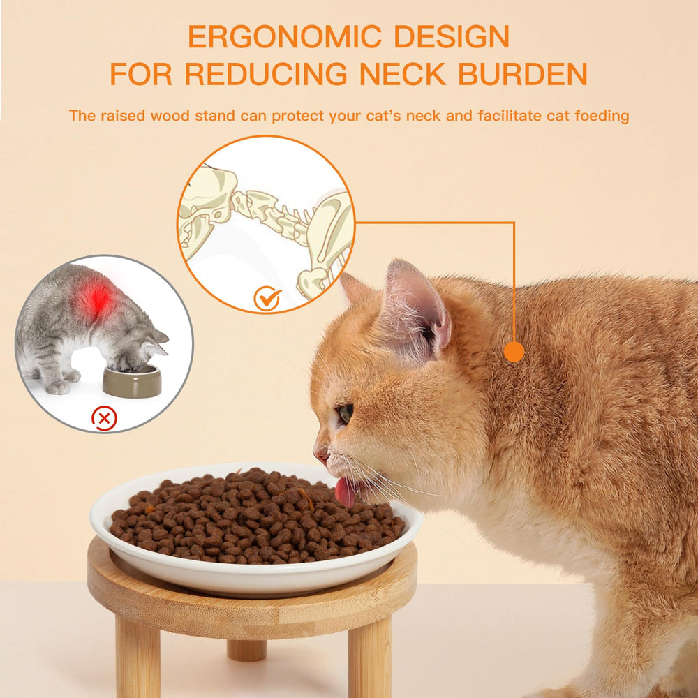 ZQYSTT ceramic bowls are whisker-friendly and easy to clean