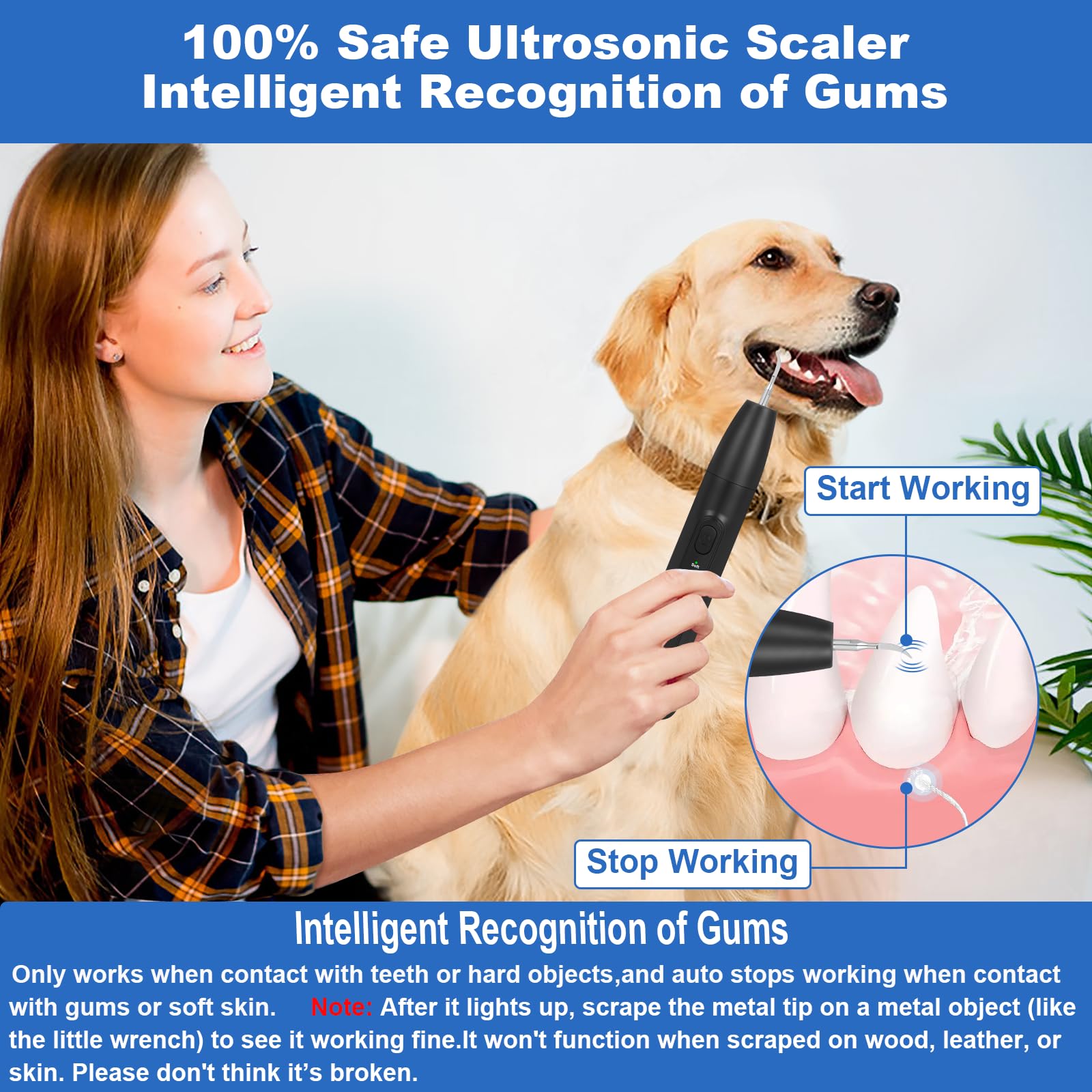 ZREVSB ultrasonic tooth cleaner demonstrates deep-cleaning action on dogs' teeth.