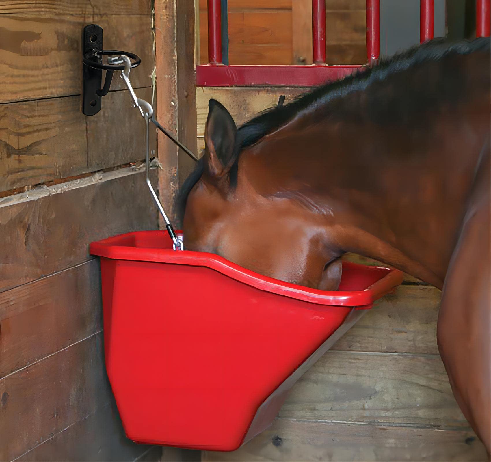 Sturdy wall mount with ring attachment from ZRruowin holds buckets reliably