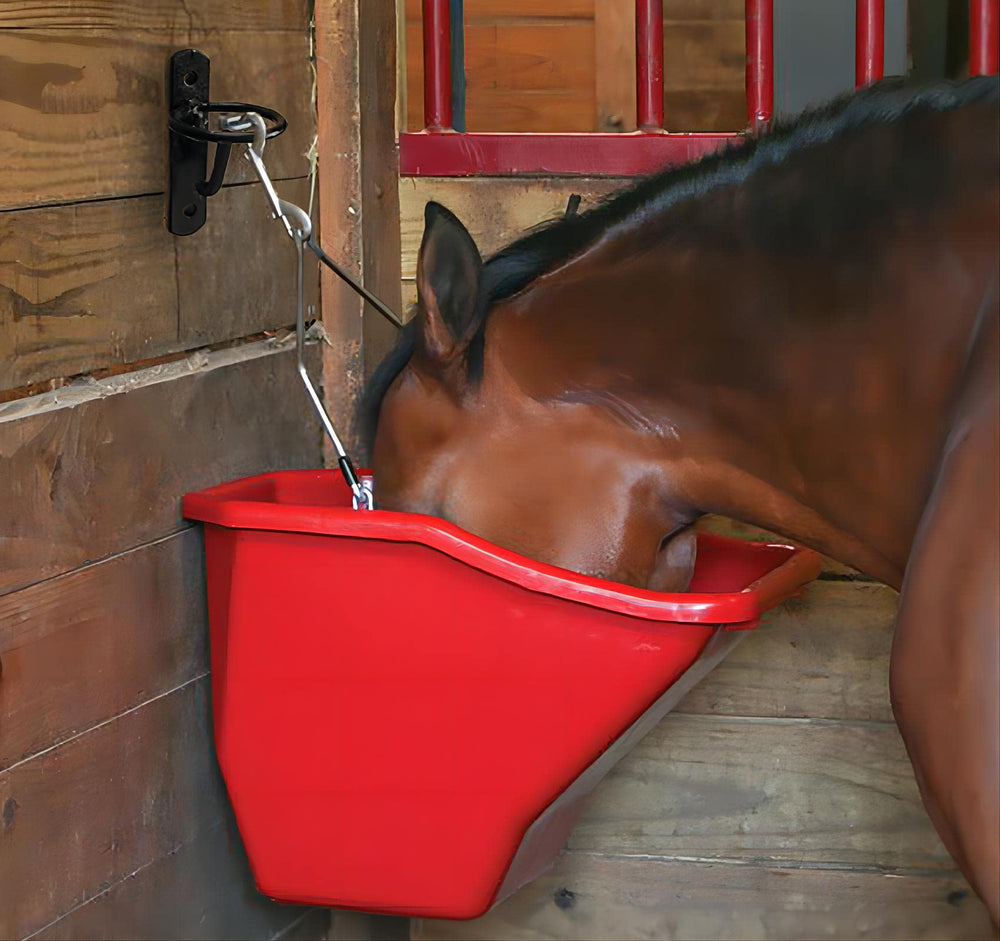 Sturdy wall mount with ring attachment from ZRruowin holds buckets reliably