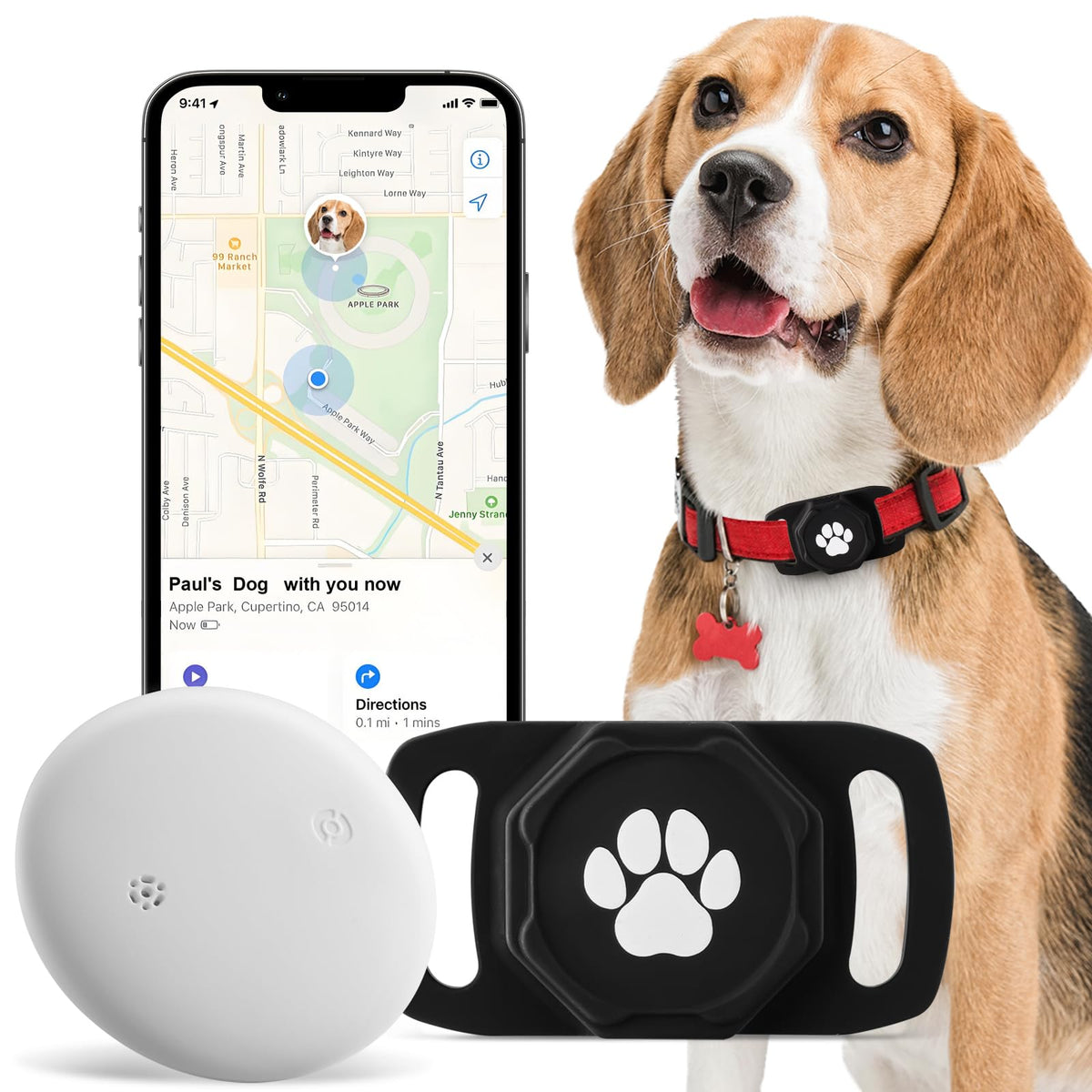 Ztobny smart pet tracker on collar shows real-time location updates.