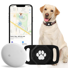 Ztobny smart pet tracker on collar for real-time location.
