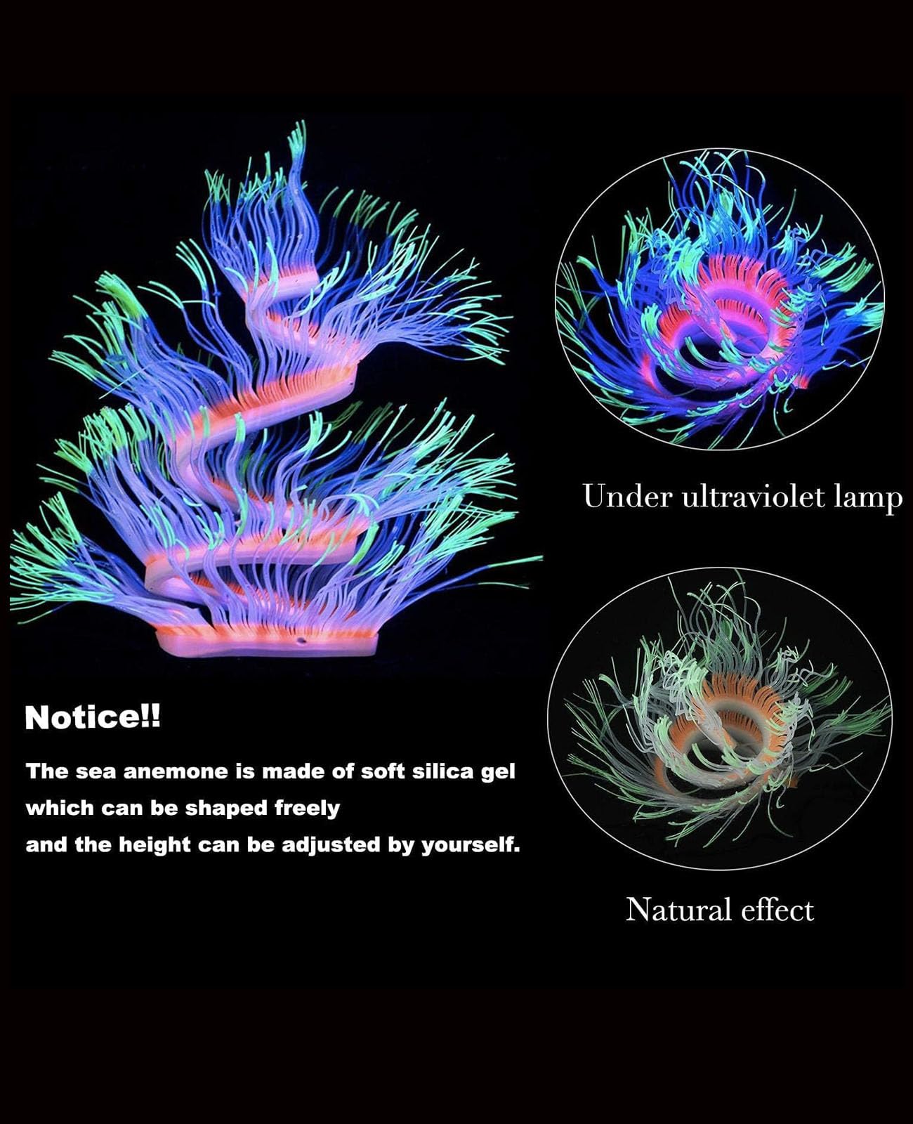 ZtohPyo glowing green anemone adds vibrant color to tank.