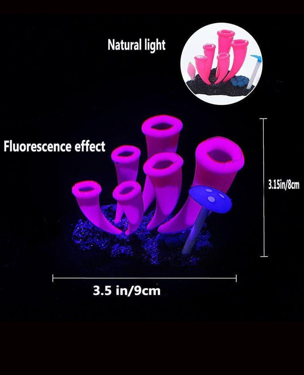 ZtohPyo glowing horn coral accentuates tank landscape with motion.