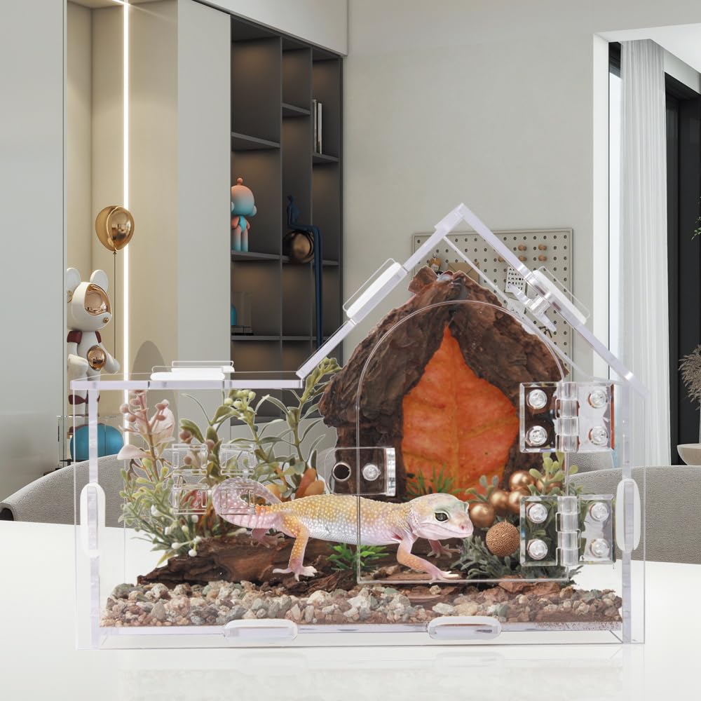 ZUIFIANLE arboreal terrarium for spiders mantises and beetles