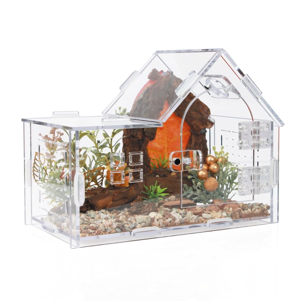 ZUIFIANLE jumping spider enclosure front view for secure access