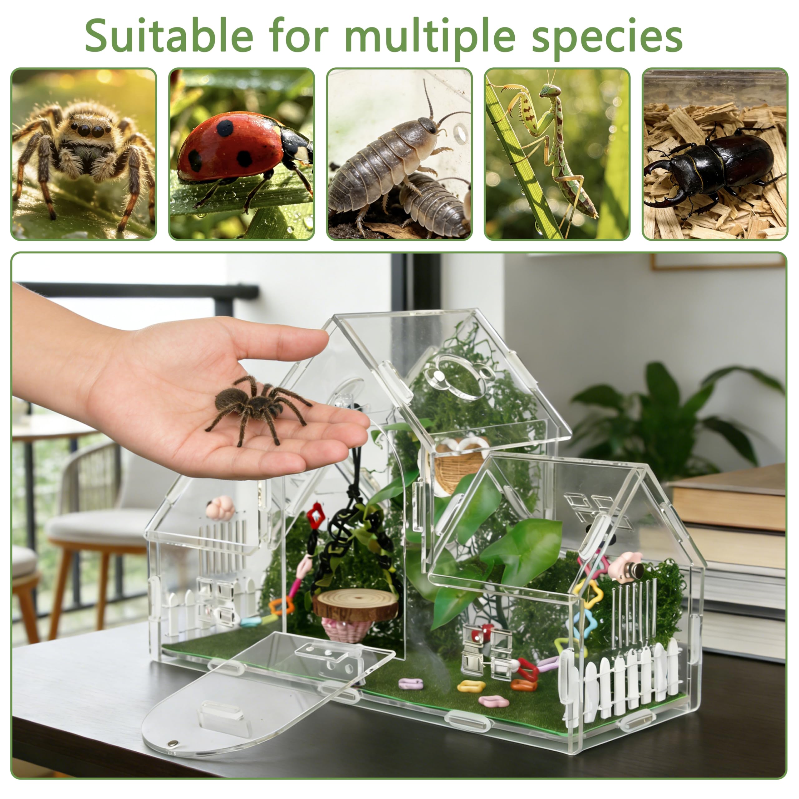 ZUIFIANLE 11.8 by 4.5 by 8 inches enclosure suits compact terrarium needs.
