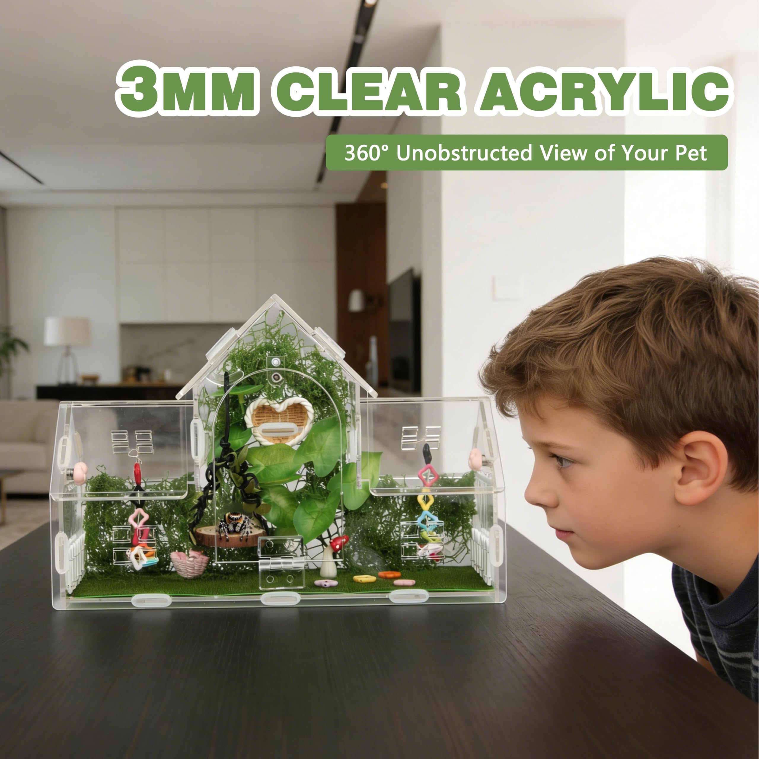 ZUIFIANLE magnetic top feeding door enables easy prey access without disturbing webs.