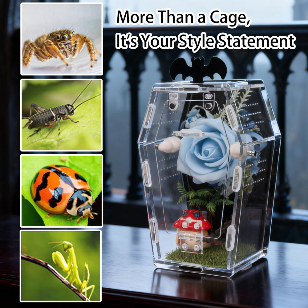 ZUIFIANLE compact enclosure fits small spaces and beginner setups.
