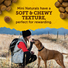 Zuke's Mini Naturals USA-made quality ingredients for dogs on adventures