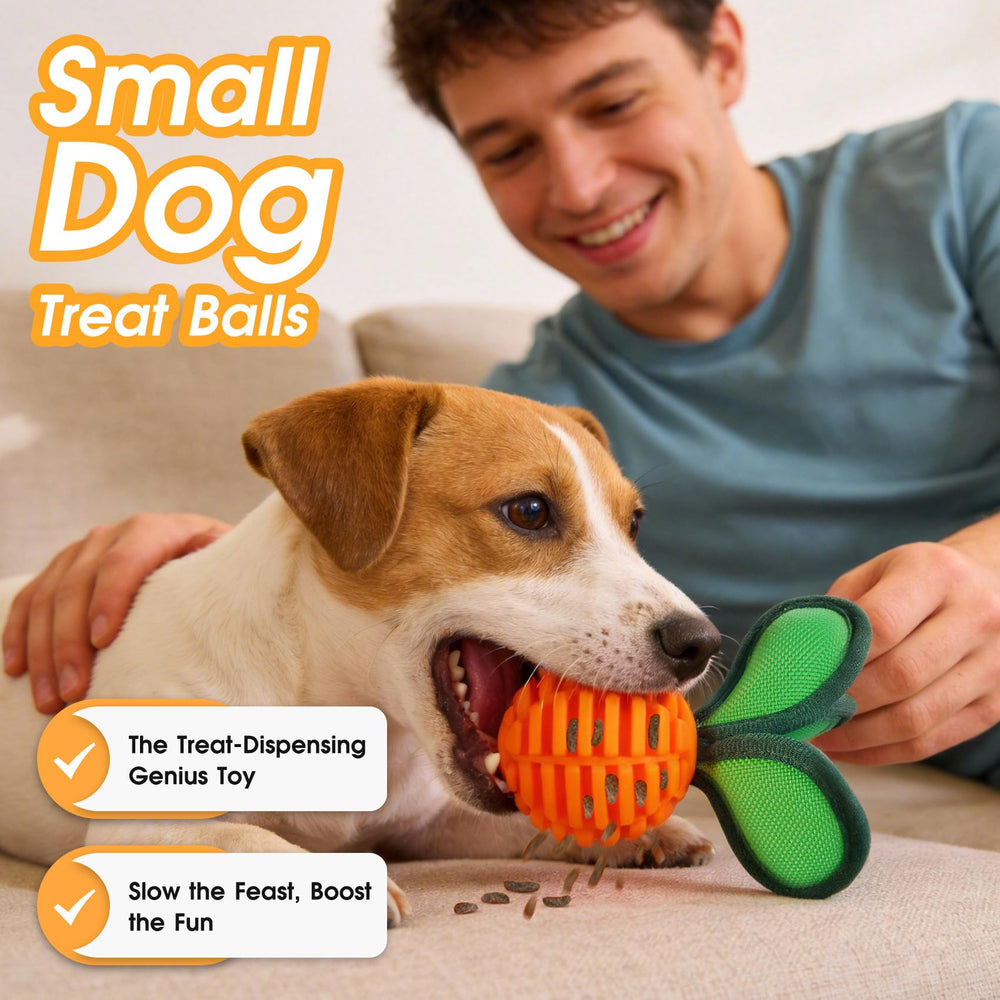 ZUMAEY ball is non-toxic and designed for safe chewing for small breeds.