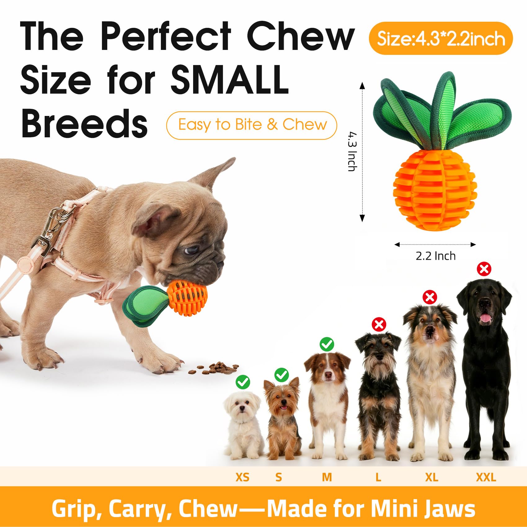ZUMAEY treat-dispensing ball helps slow mealtimes and rewards gentle chewing.