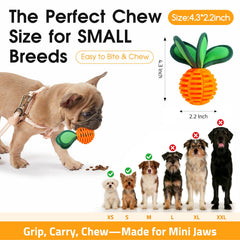 ZUMAEY treat-dispensing ball helps slow mealtimes and rewards gentle chewing.